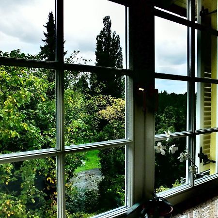 Weingut Und Hotel Haus Am Drachenloch Bad Honnef Εξωτερικό φωτογραφία
