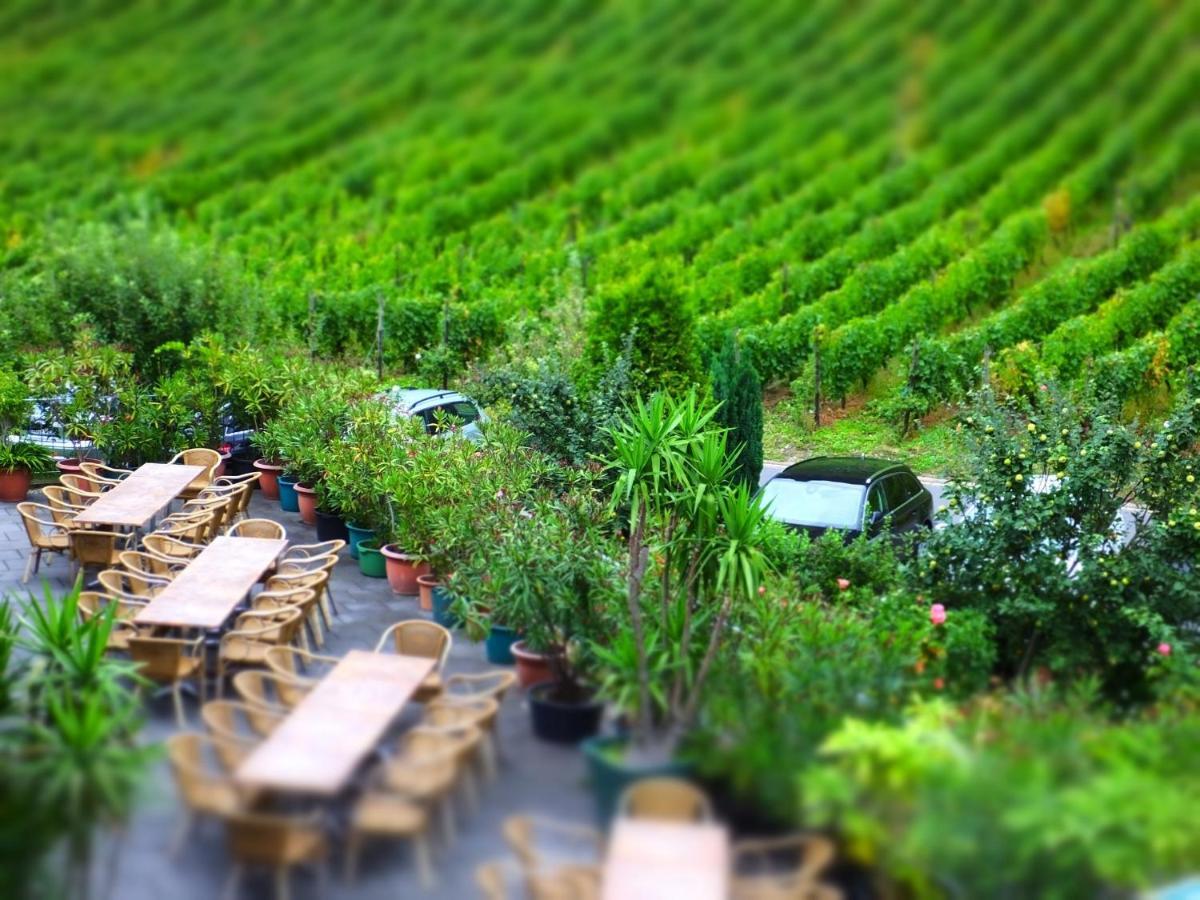 Weingut Und Hotel Haus Am Drachenloch Bad Honnef Δωμάτιο φωτογραφία