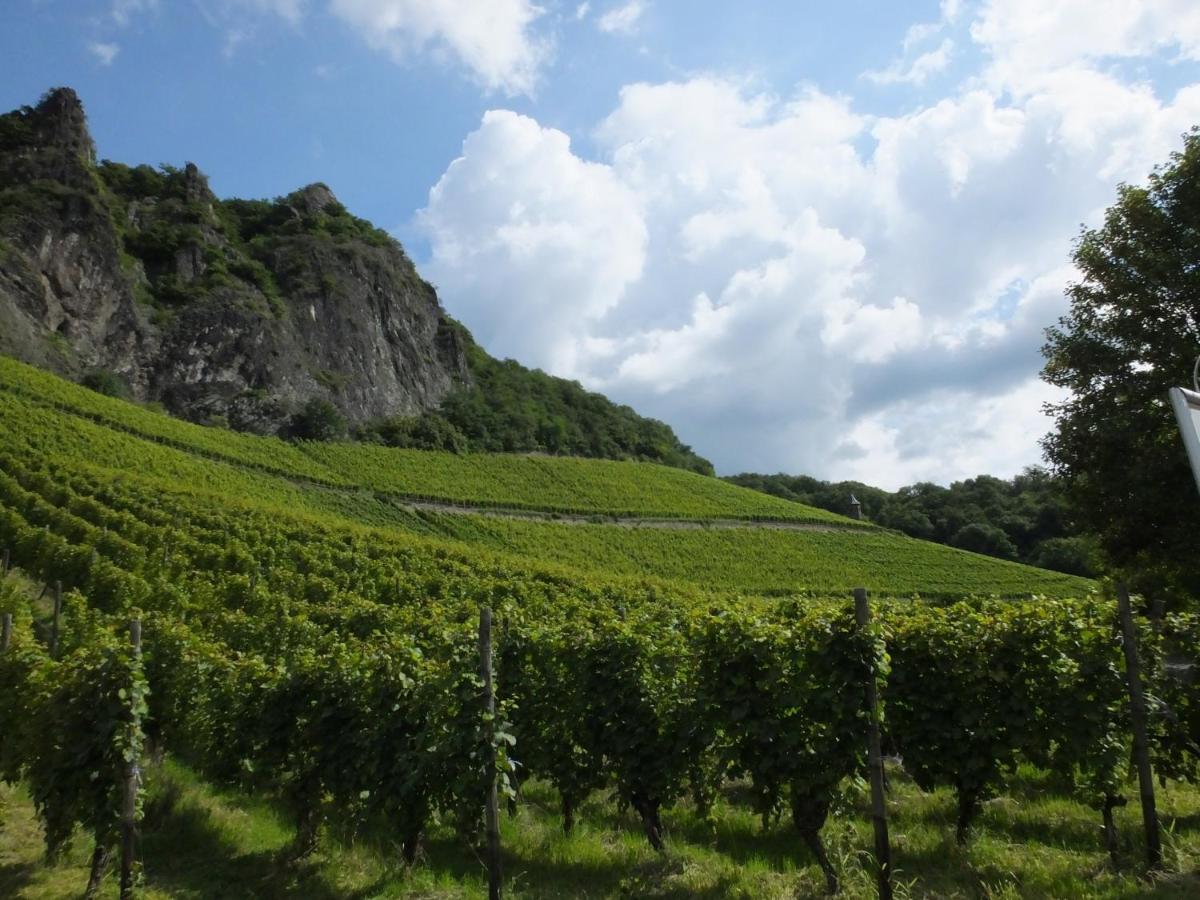 Weingut Und Hotel Haus Am Drachenloch Bad Honnef Εξωτερικό φωτογραφία