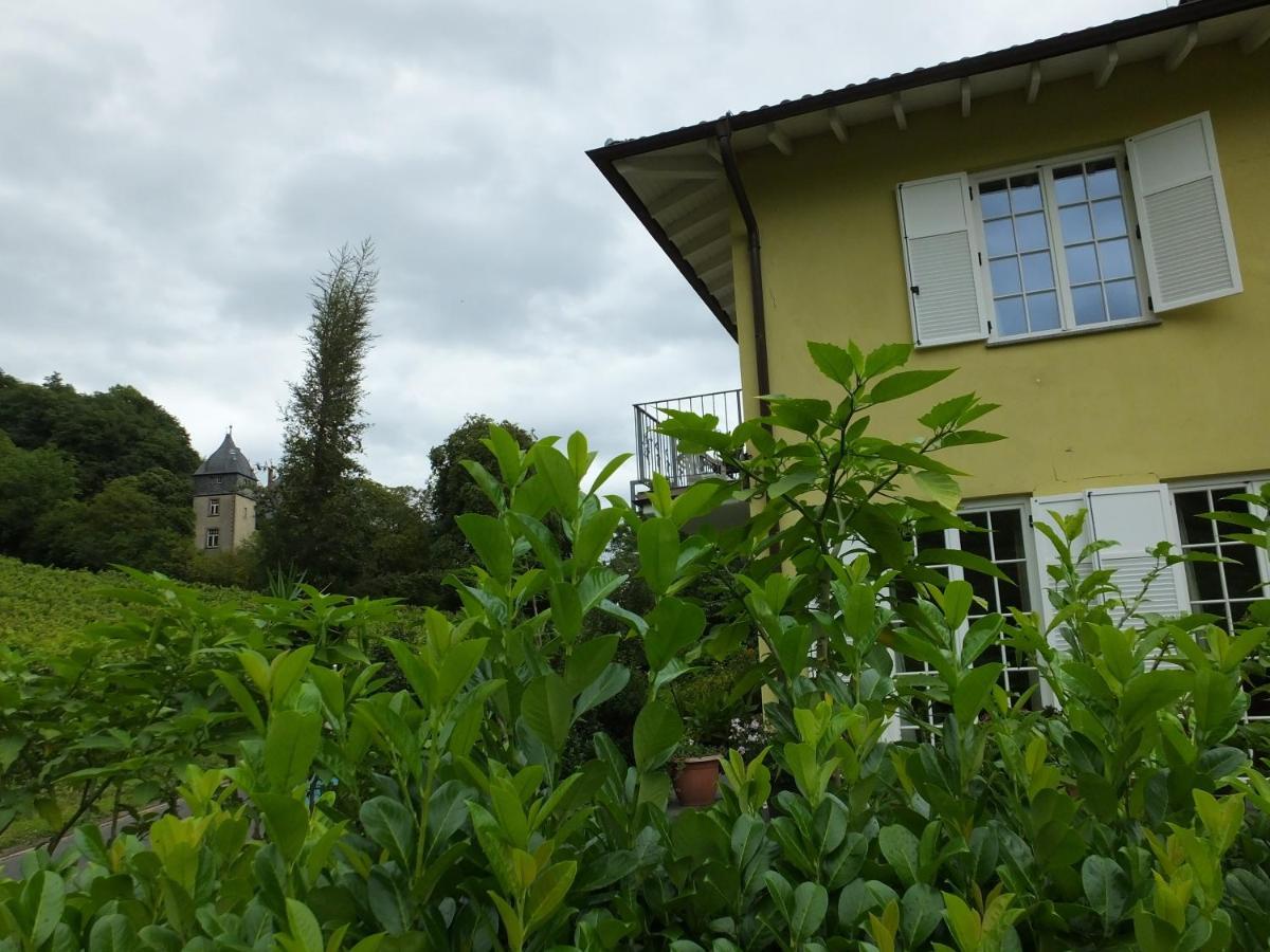 Weingut Und Hotel Haus Am Drachenloch Bad Honnef Εξωτερικό φωτογραφία