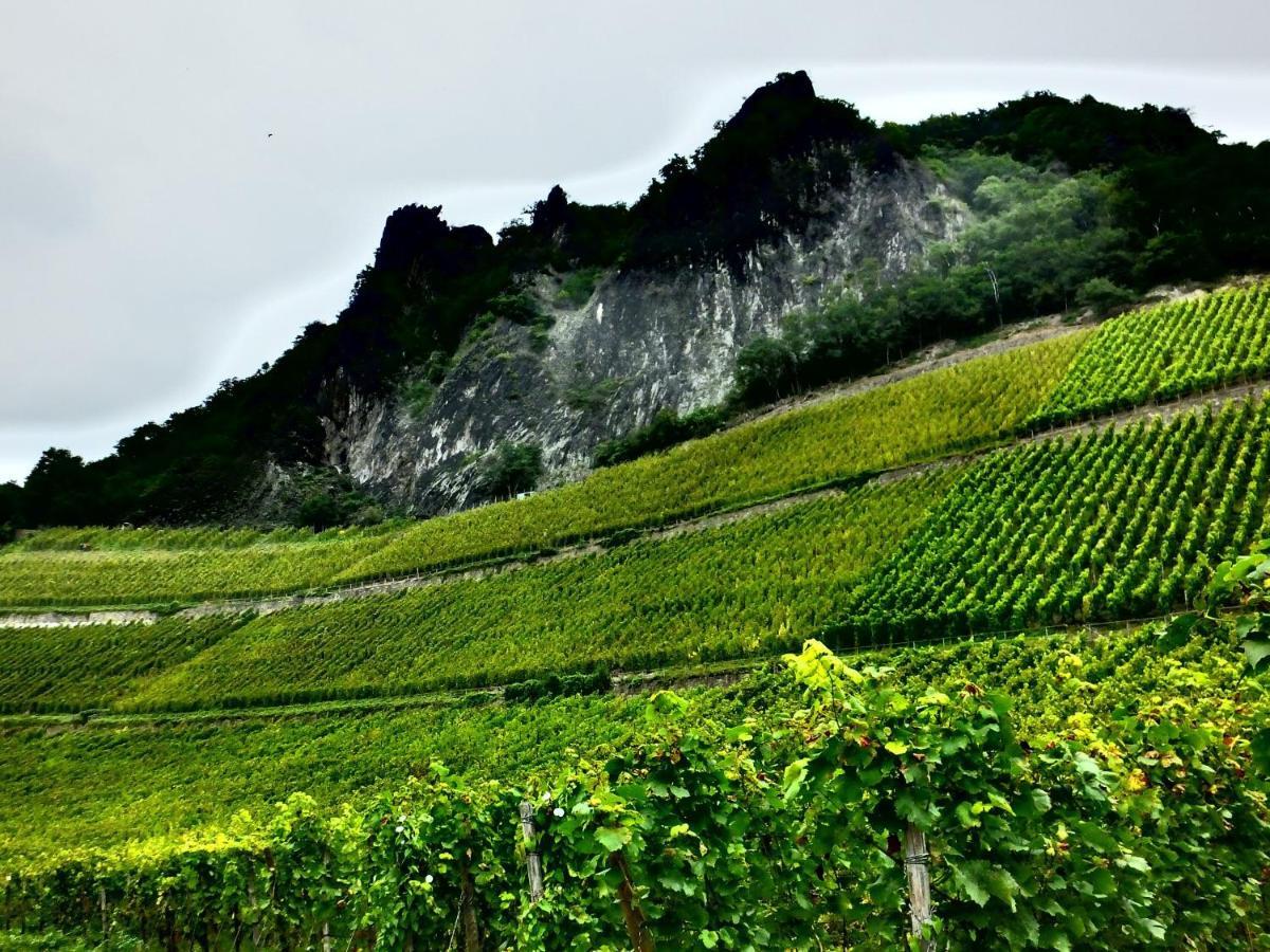 Weingut Und Hotel Haus Am Drachenloch Bad Honnef Εξωτερικό φωτογραφία